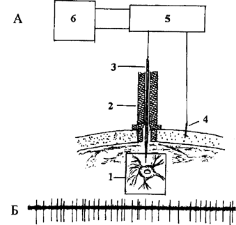 регистрация импульсной активности нервных клеток - student2.ru