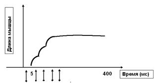 Режимы сокращения мышцы в соответствии с частотой раздражения - student2.ru