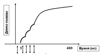 Режимы сокращения мышцы в соответствии с частотой раздражения - student2.ru
