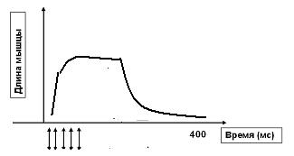 Режимы сокращения мышцы в соответствии с частотой раздражения - student2.ru
