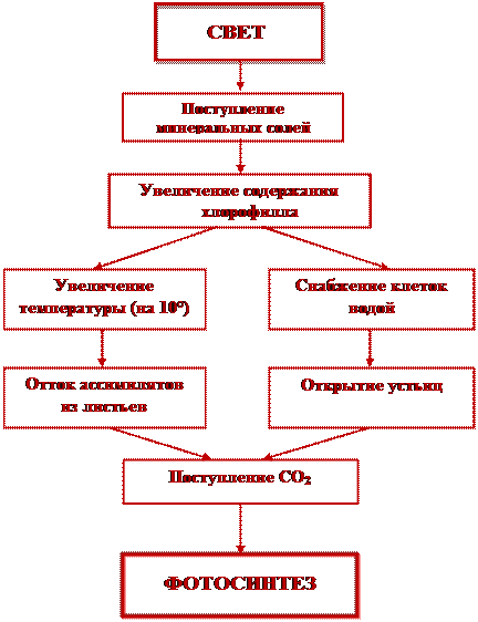 Влияние внешних и внутренних факторов на интенсивность процесса фотосинтеза - student2.ru