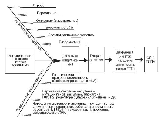 Сахарный диабет 2 типа (от преобладающей инсулинорезистентности с относительным инсулинодефицитом до преобладающего дефекта секреции инсулина с инсулинорезистентностью) - student2.ru