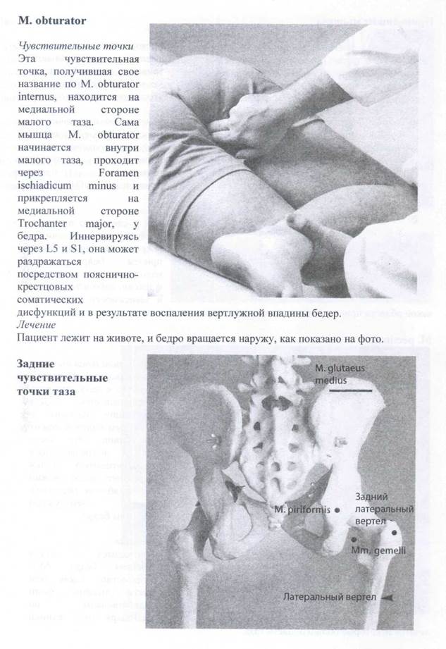 Синдром беспокойных ног (Restless-legs-Syndrom) - student2.ru