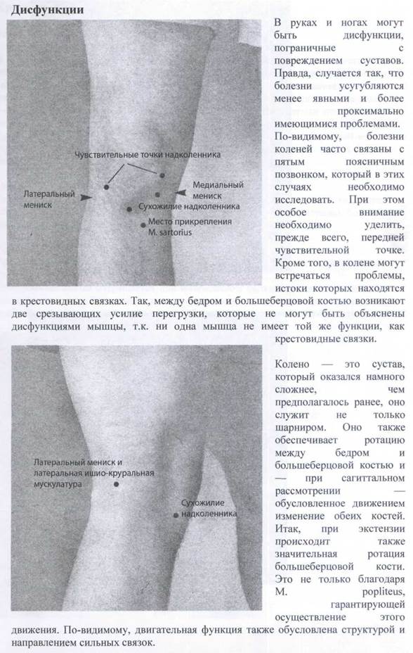 Синдром беспокойных ног (Restless-legs-Syndrom) - student2.ru