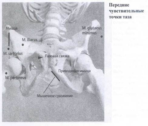 Синдром беспокойных ног (Restless-legs-Syndrom) - student2.ru