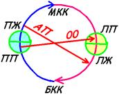 Система кровообращения плода - student2.ru