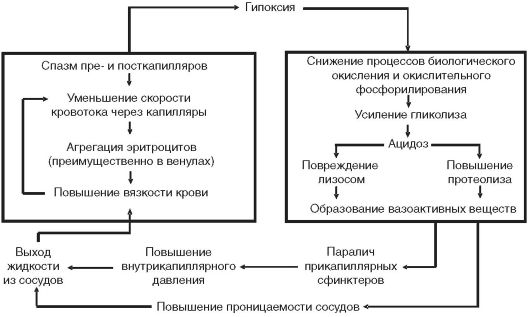 Системы естественной профилактики стрессорных повреждений - student2.ru