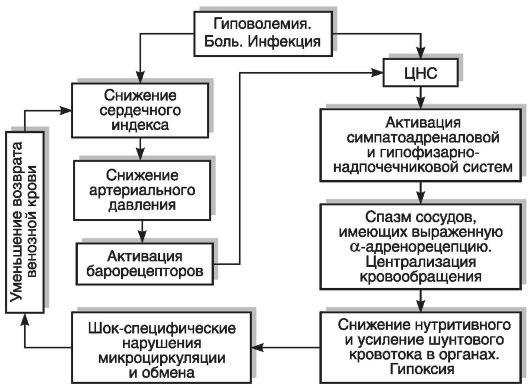 Системы естественной профилактики стрессорных повреждений - student2.ru