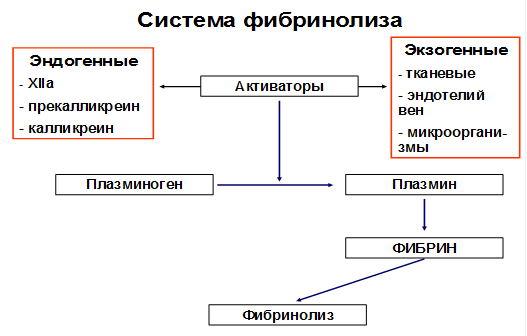 Схема механизмов действия антикоагулянтов - student2.ru