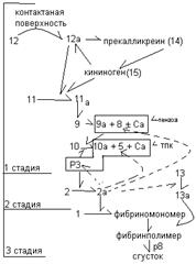 Схема свертывания крови - student2.ru