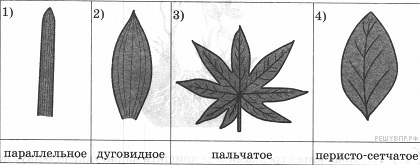 состав молока домашних животных - student2.ru