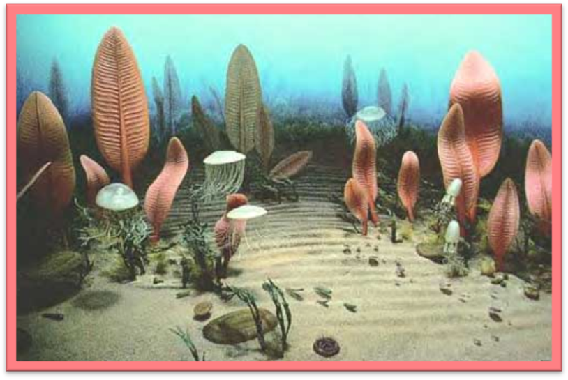 Спустя 1700 млн. лет – в криогении, наступил ледниковый период. - student2.ru