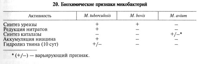средства специфической профилактики, терапии и диагностики инфекционных болезней 3 страница - student2.ru