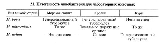средства специфической профилактики, терапии и диагностики инфекционных болезней 3 страница - student2.ru