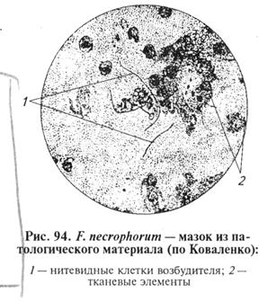 средства специфической профилактики, терапии и диагностики инфекционных болезней 5 страница - student2.ru