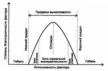 Стебель. Строение. Функции. Строение стебля - student2.ru