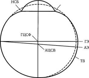 строение глазного яблока - student2.ru