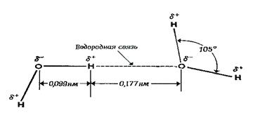 Строение и свойства воды, её функции в растении. - student2.ru