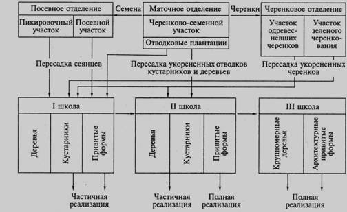 Структура древесного питомника. - student2.ru