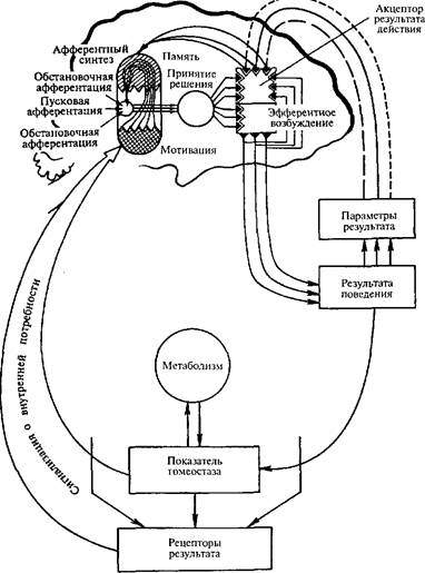 структура двигательного акта - student2.ru