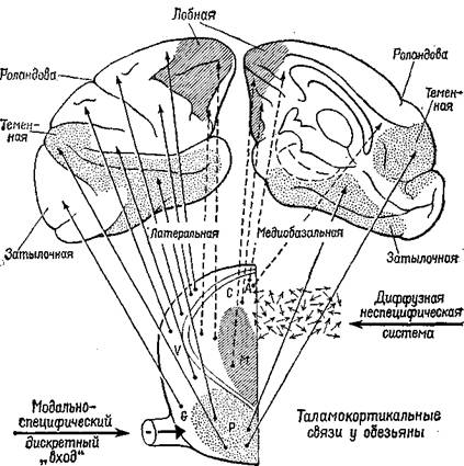 структура коммуникативного процесса - student2.ru