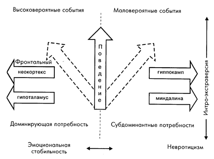 структуры мозга, реализующие подкрепляющую, переключающую, компенсаторно-замещающую и коммуникативную функции эмоций - student2.ru