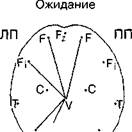 структуры о -функциональная организация памяти - student2.ru