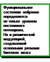 Стволово-таламо-кортикальная система. Исследования Дж - student2.ru