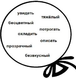 Суммативное оценивание за раздел «Живая природа» - student2.ru