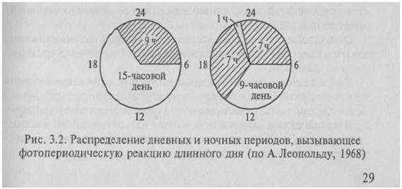 Свет и его значение для цветочных культур - student2.ru