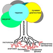 связь нормальной физиологии с другими науками - student2.ru