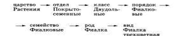 Таксономические единицы (категории) растений - student2.ru