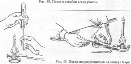 техника посева, методы выделения чистых культур и культуральные свойства микроорганизмов. определение количества бактерий - student2.ru