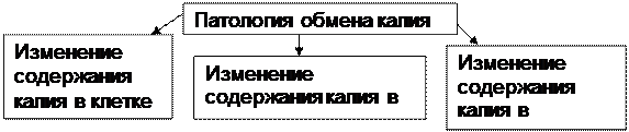 ТЕМА № 5 ПАТОФИЗИОЛОГИЯ ВОДНО-СОЛЕВОГО ОБМЕНА. ЗАНЯТИЕ ВТОРОЕ: ОТЁКИ. ПАТОЛОГИЯ ОБМЕНА КАЛИЯ - student2.ru