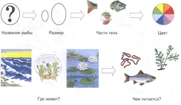 Тема: ШКОЛЬНЫЕ ПРИНАДЛЕЖНОСТИ - student2.ru