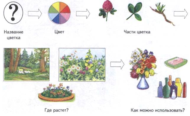 Тема: ШКОЛЬНЫЕ ПРИНАДЛЕЖНОСТИ - student2.ru