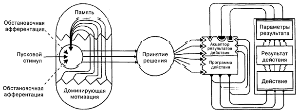 Теория П.К. Анохина как целостная система представлений - student2.ru