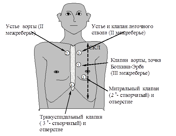 тесты для самоподготовки - student2.ru