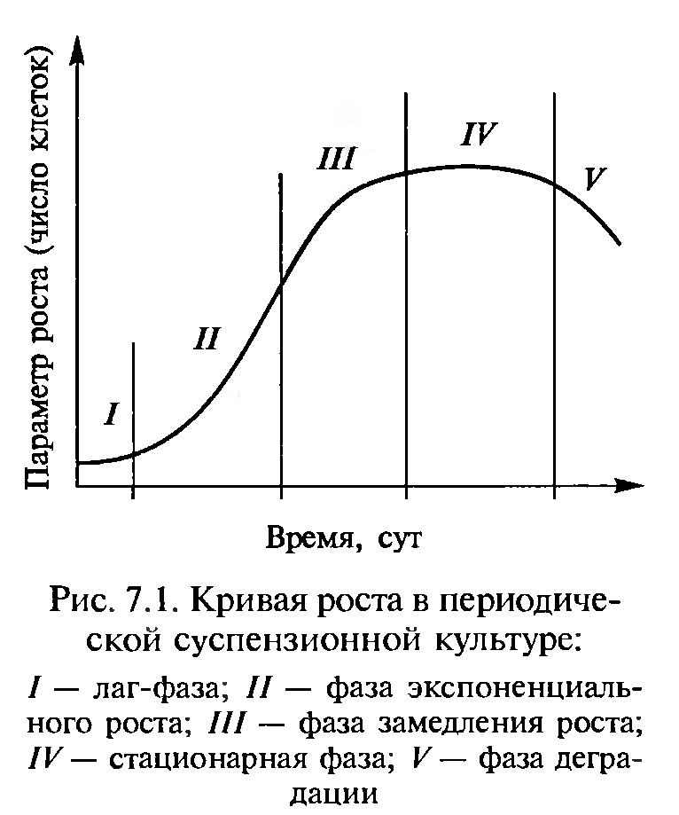 Кривая роста. Кривая роста Сакса. Кривая роста растений. Большая кривая роста растений. Логарифмическая фаза роста.