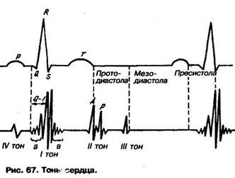тоны сердца и их регистрация - student2.ru
