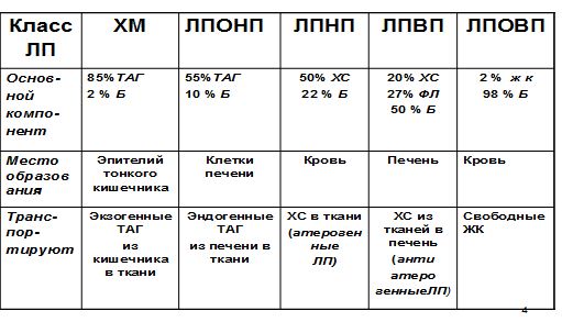 Транспортные формы липидов, строение, функции. Дислипопротеинемии - student2.ru