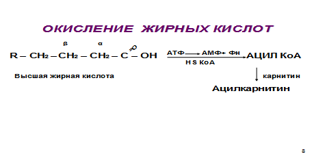 Транспортные формы липидов, строение, функции. Дислипопротеинемии - student2.ru