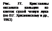 Тургор и плазмолиз в клетках листа мниума - student2.ru