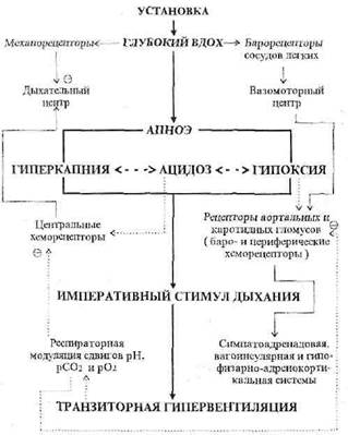 у здорового и больного человека - student2.ru