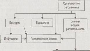 Углеводороды (нефтепродукты) - student2.ru