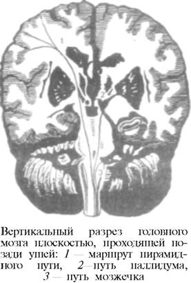 Уровень пространства (С). Его строение - student2.ru