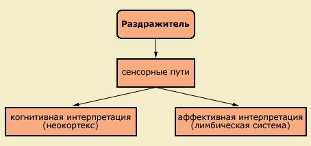 Условия возникновение стресса - student2.ru