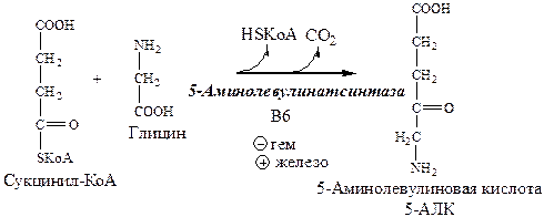 В. 2,3–дифосфоглицератный шунт - student2.ru