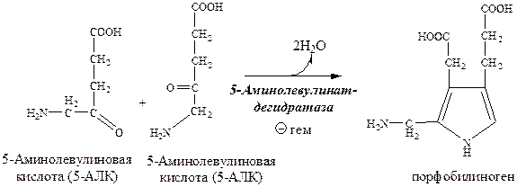 В. 2,3–дифосфоглицератный шунт - student2.ru