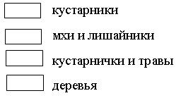 V. Итоги урока. Выставление оценок. - student2.ru